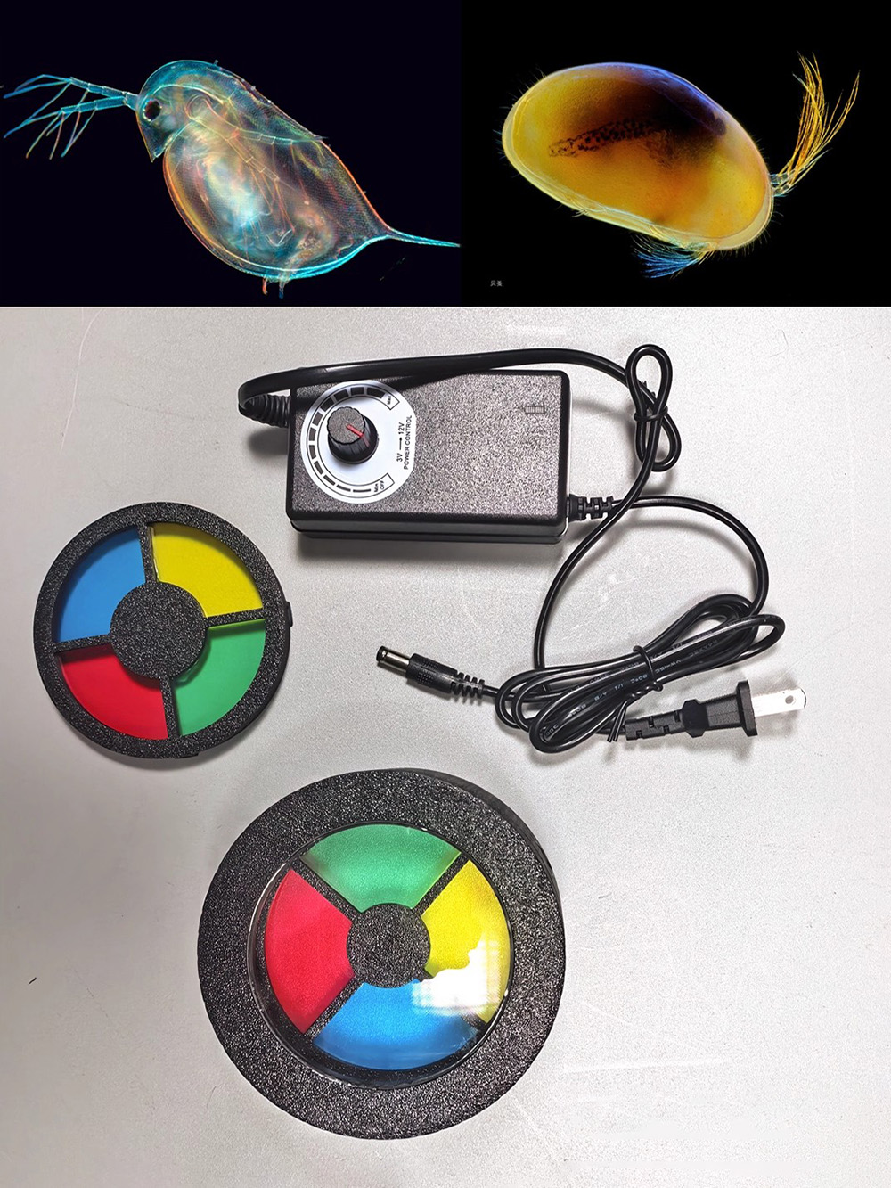 Flash Macro Darkfield per Micr - Photography Lighting Diy recensione e prezzo
