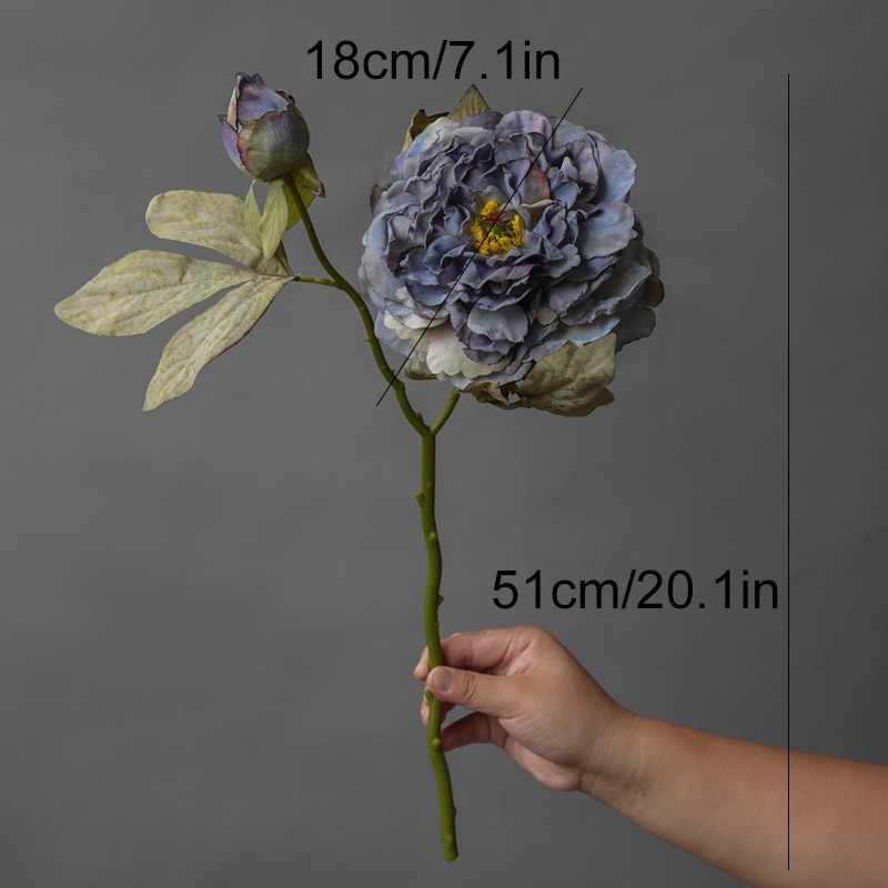 1PC Luce di lusso 2 teste Gran - Photography Lighting Simulation recensione e prezzo
