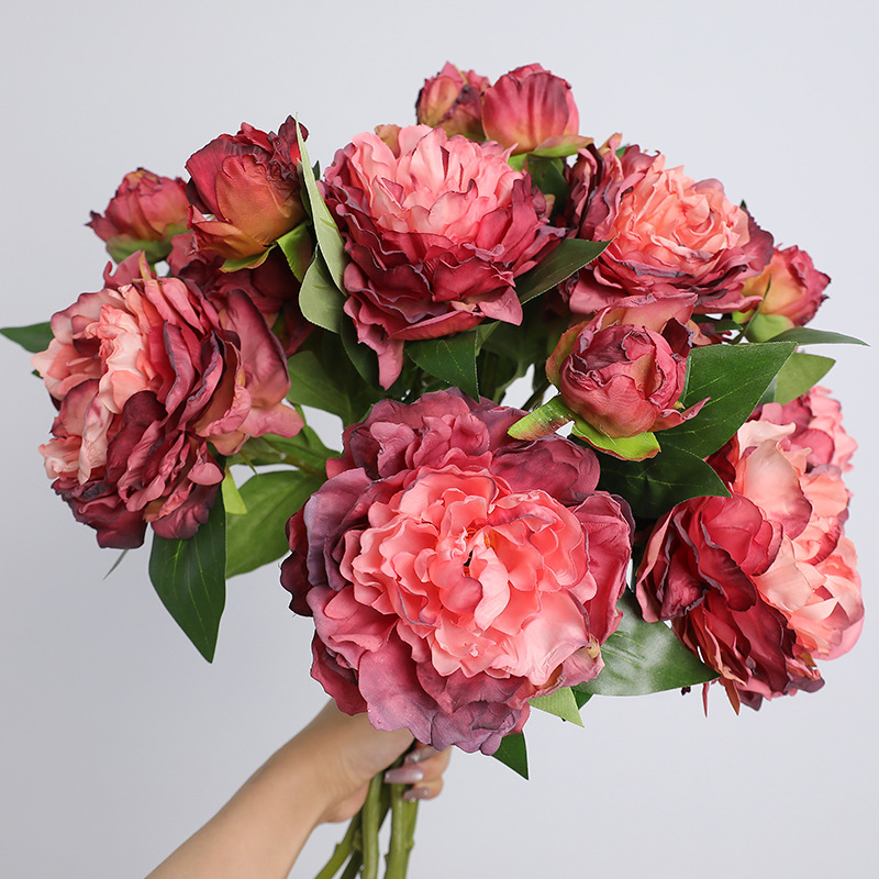 1PC Retro 2 teste peonia simul - Photography Lighting Simulation recensione e prezzo