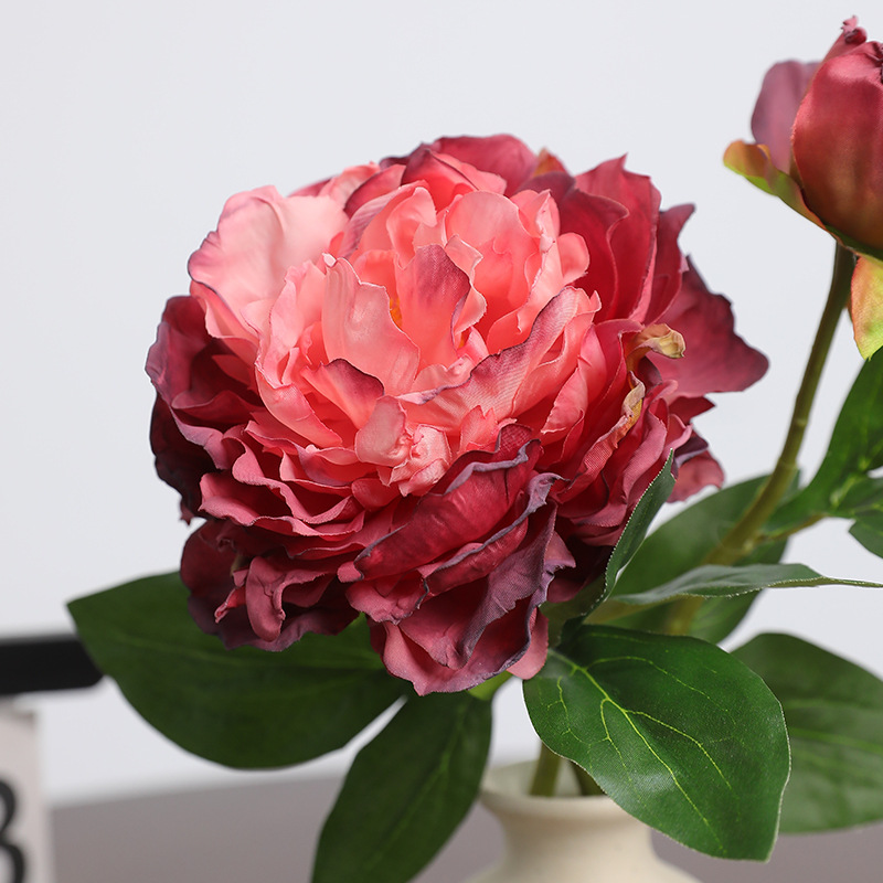1PC Retro 2 teste peonia simul - Photography Lighting Simulation recensione e prezzo